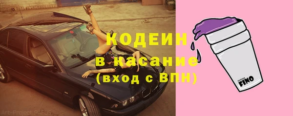 прущая мука Ельня