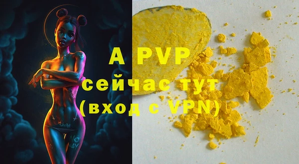 мдма Елизово