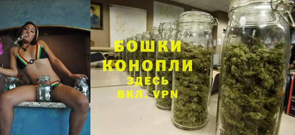 прущая мука Ельня