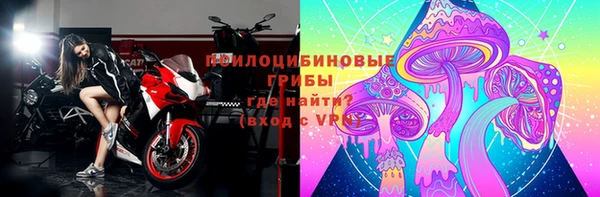 мдма Елизово